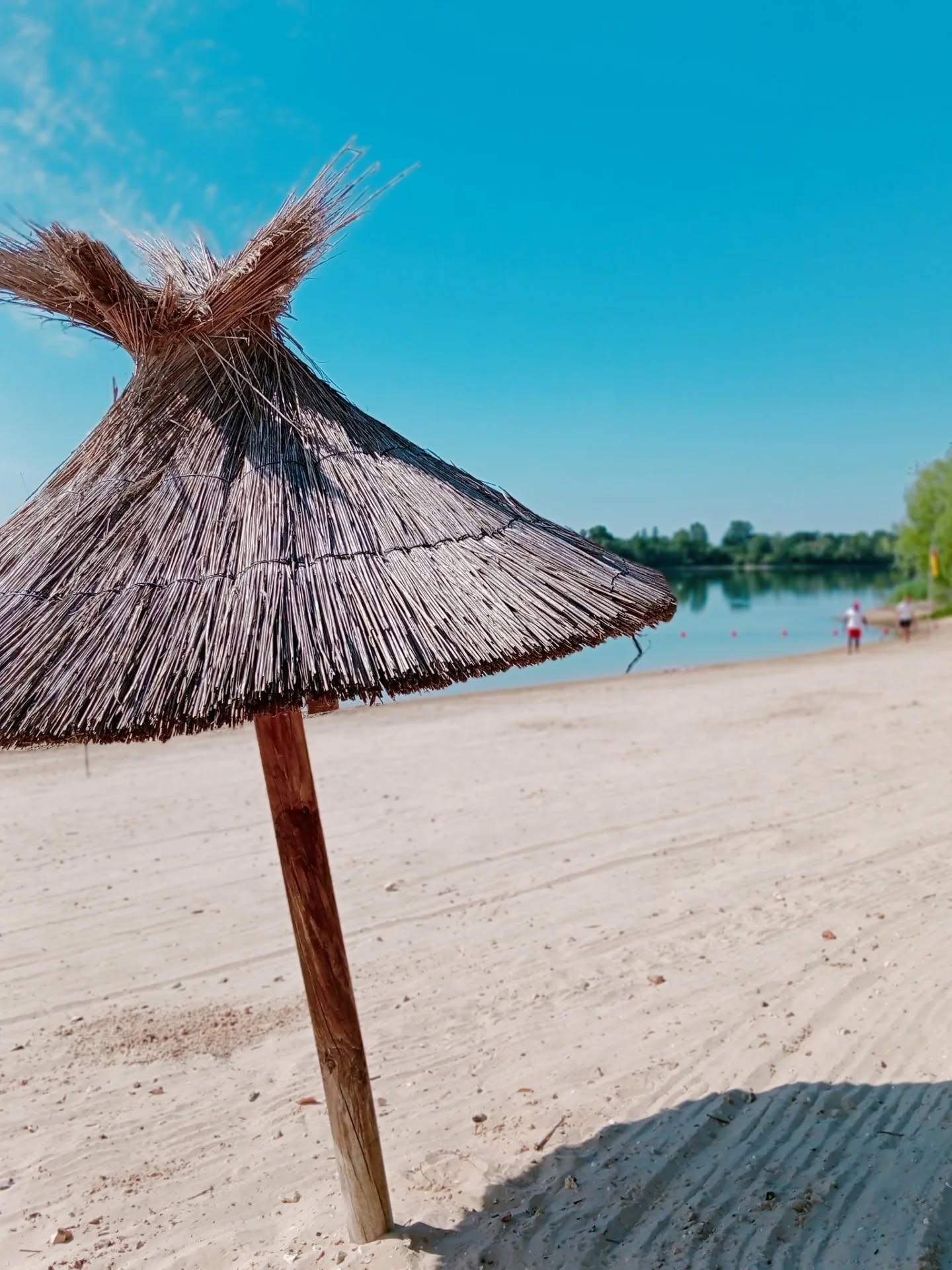 Baignade ouverte le mercredi 24 juin